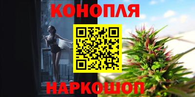 винт Славгород