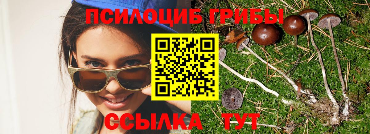 Галлюциногенные грибы GOLDEN TEACHER Нурлат